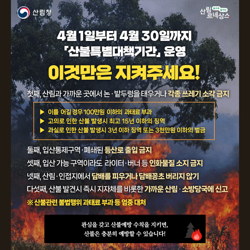 전북특별자치도교육청 학교안전과_산불특별대책기간 당부사항 포스터