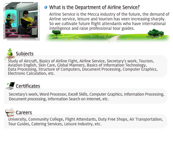 Airline Service