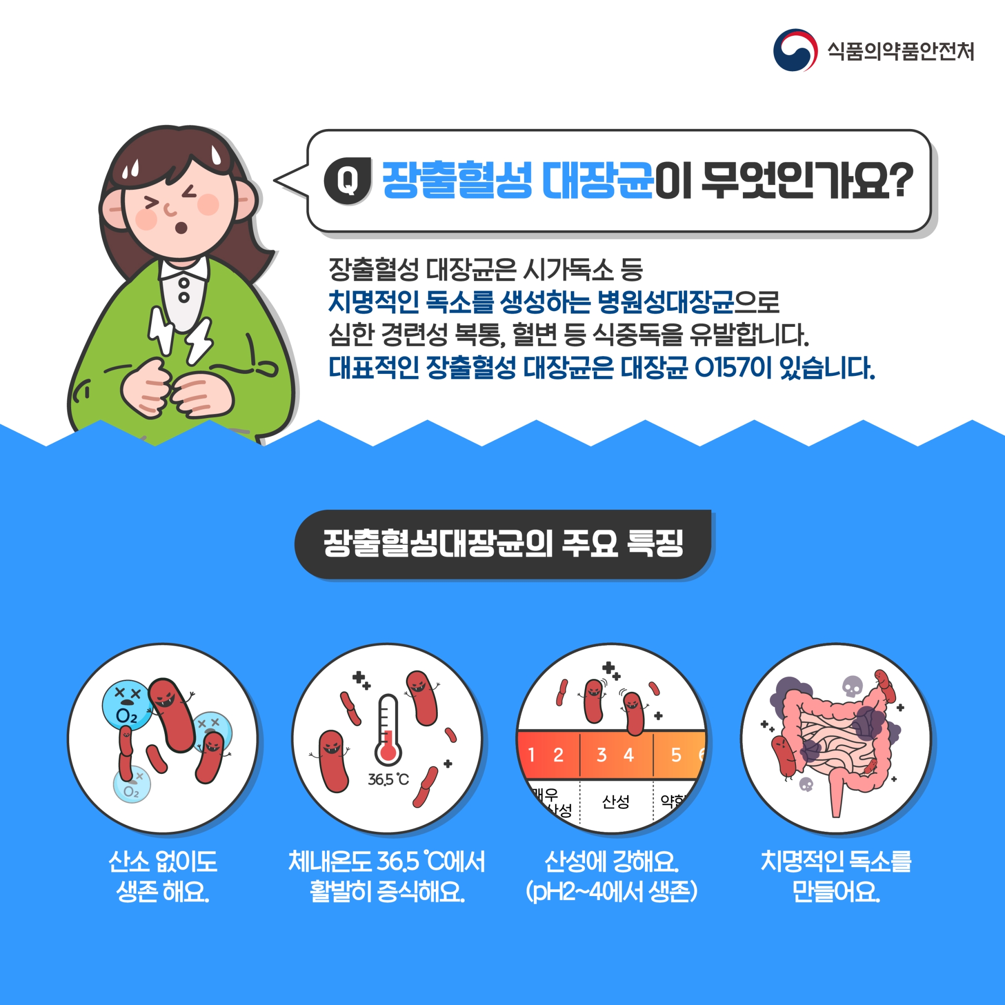 (카드뉴스)장출혈성대장균식중독_2