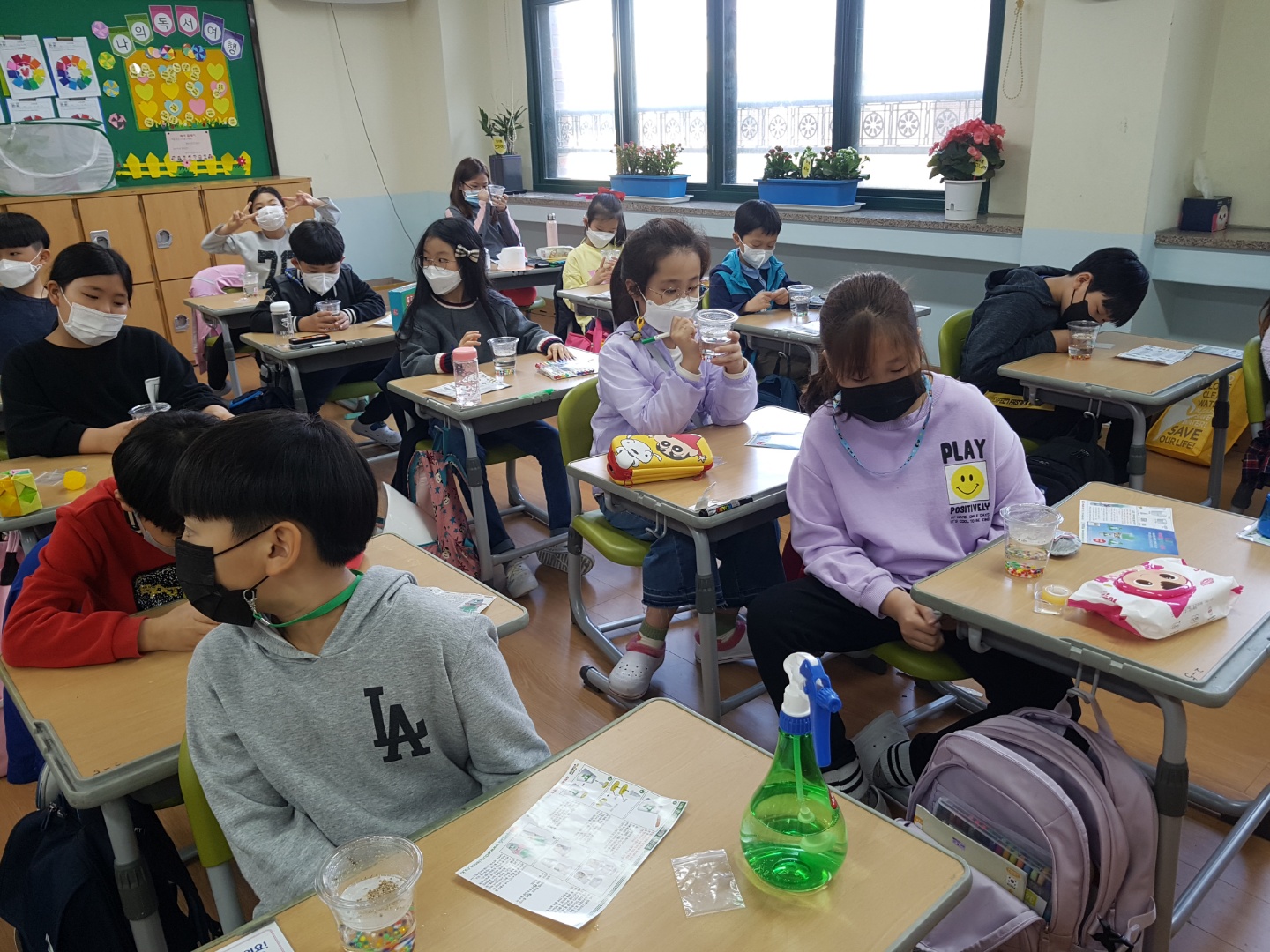 개구리알 물잔디키우기 (3)