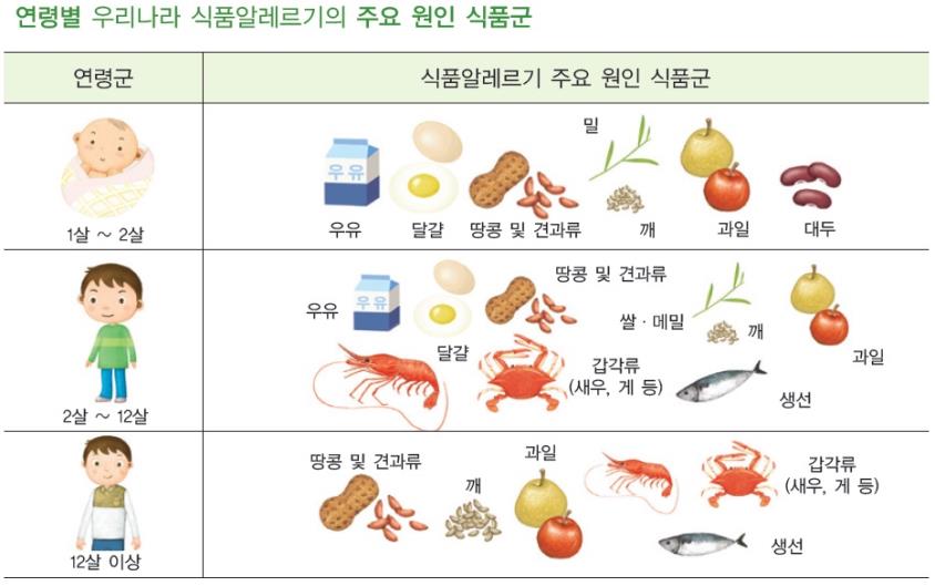 식품알레르기 주요 원인 식품