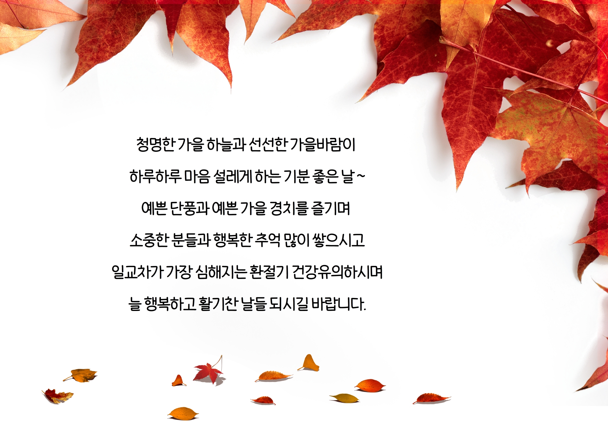 10월3WN_ 인사말1