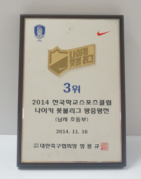 2014-전국학교스포츠클럽나이키풋볼리그왕중왕전(3위-남자).JPG