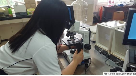 직접배양한 일반세균 현미경 관찰