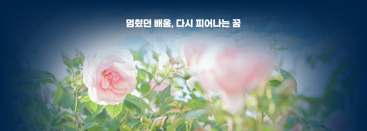 멈췄던 배움, 다시 피어나는 꿈